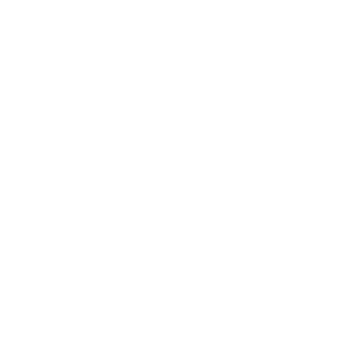 Key Features Icon