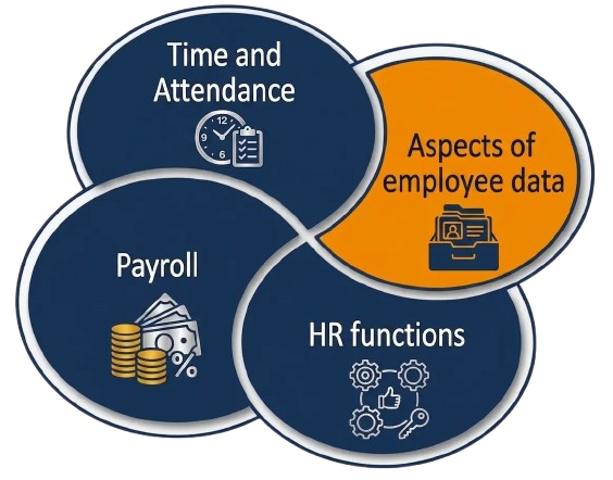 Payroll Process